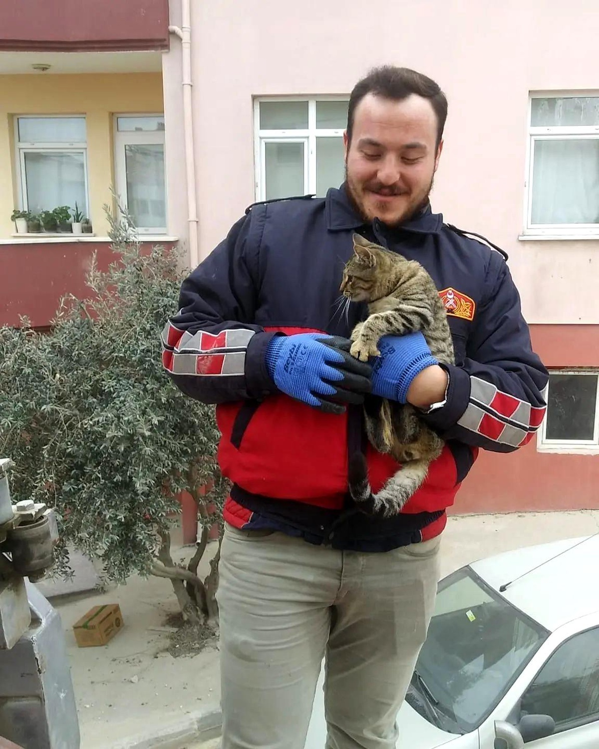 Telefon direğinde mahsur kalan kedi kurtarıldı