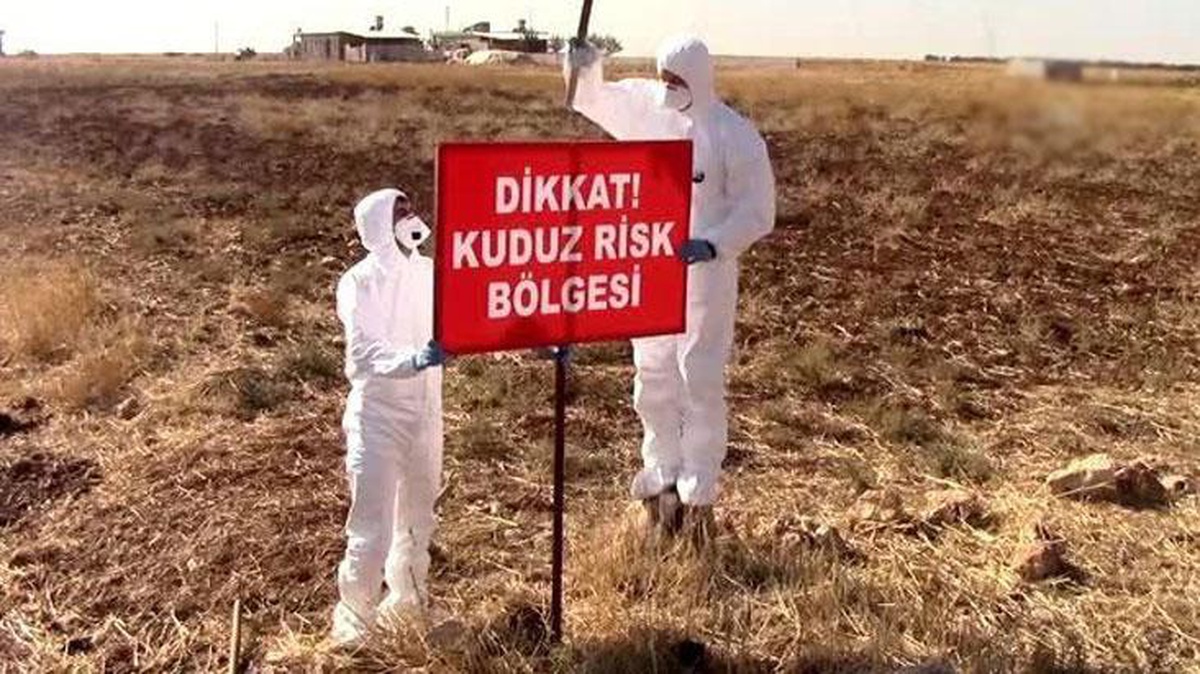 Adıyaman\'da korkutan olay! İki mahalle kuduz riski nedeniyle karantinaya alındı
