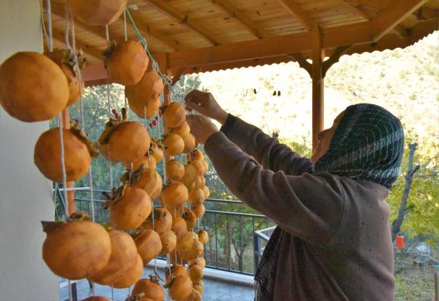 Arazi satın alıp kendi köylerini kurdular! 38 evde yaşayan herkesin ortak bir özelliği var