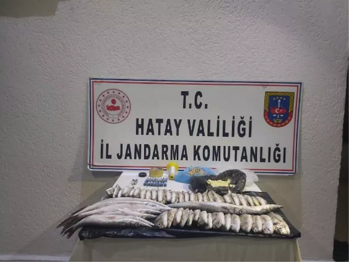 Hatay'da patlayıcıyla balık avına 44 bin 580 TL ceza
