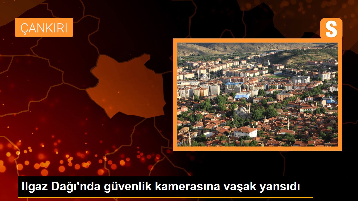 Ilgaz Dağı\'nda güvenlik kamerasına vaşak yansıdı