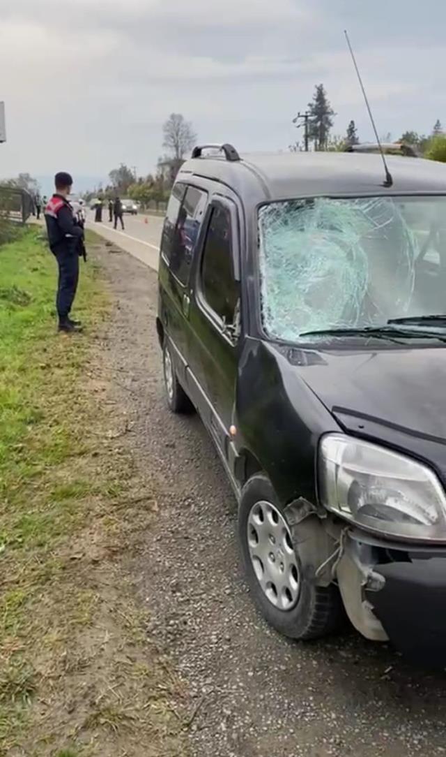 Temizlik işçisi, köpeklerden kaçarken canından oldu Temizlik işçisi, köpeklerden kaçarken canından oldu