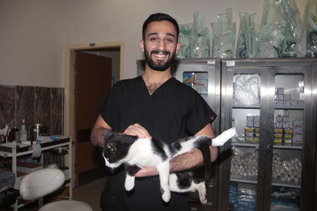 Ayağı kırılan kedi acil servisin yolunu tuttu Ayağı kırılan kedi acil servisin yolunu tuttu