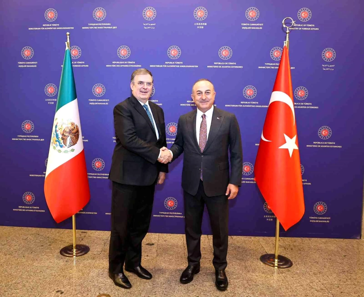 Dışişleri Bakanı Çavuşoğlu, Meksikalı mevkidaşı Ebrard\'la ortak basın toplantısında konuştu: (2)