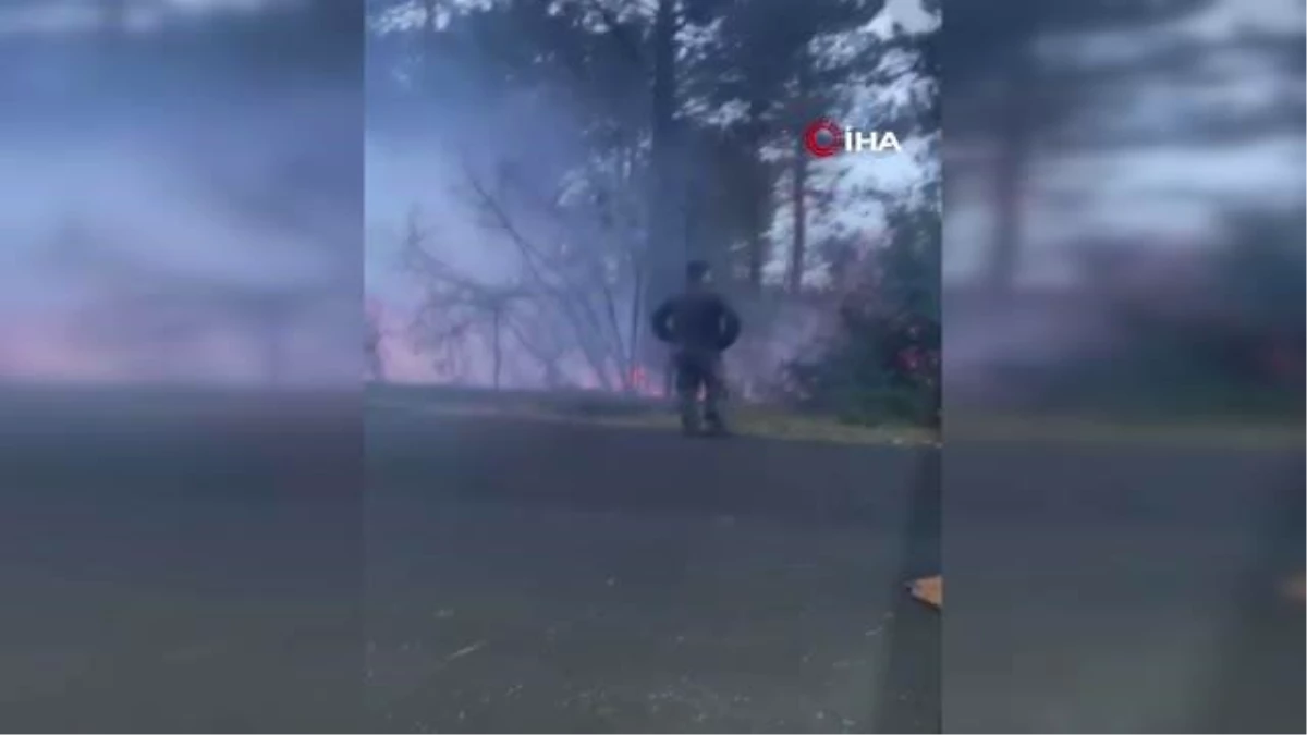 Beykoz\'da orman yangını