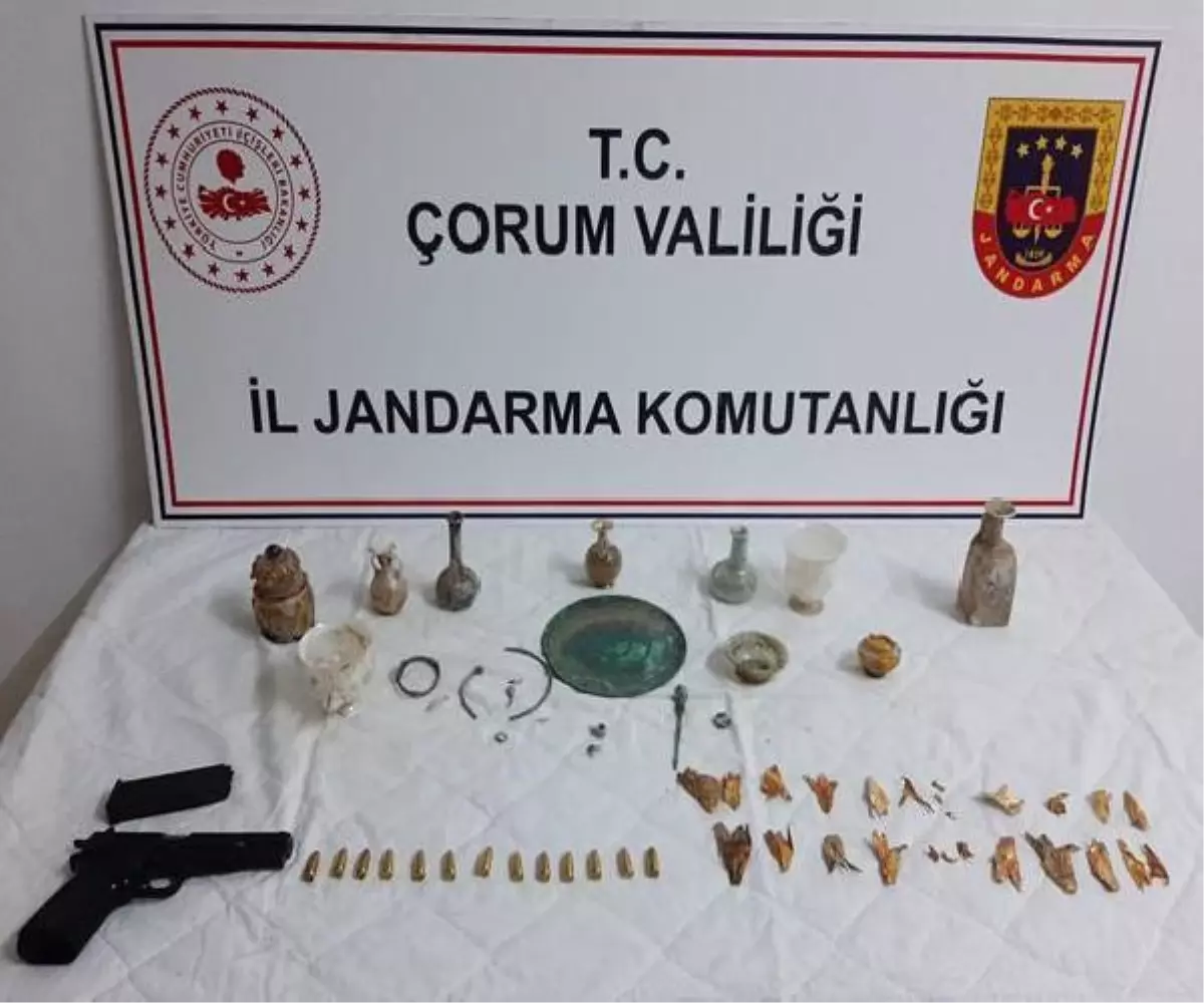 Çorum\'da 1 yılda kaçak kazı yapan 46 kişi yakalandı