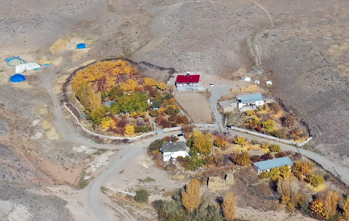 Iğdır\'daki Aras Vadisi\'nde sonbahar renkleri drone ile görüntülendi