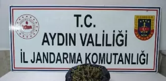 Uyuşturucu kullandığı belirlenen sürücüye ceza