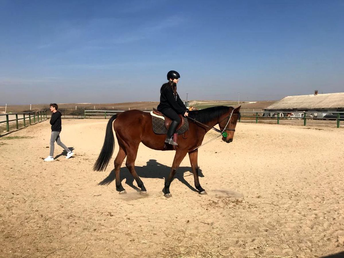 Ara tatili at üstünde geçirdiler