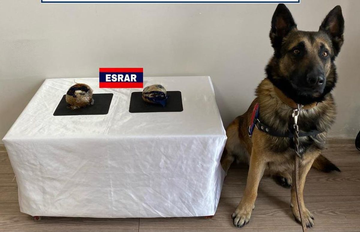 Bolu\'da cips kutusunda 500 gram esrar ele geçirildi