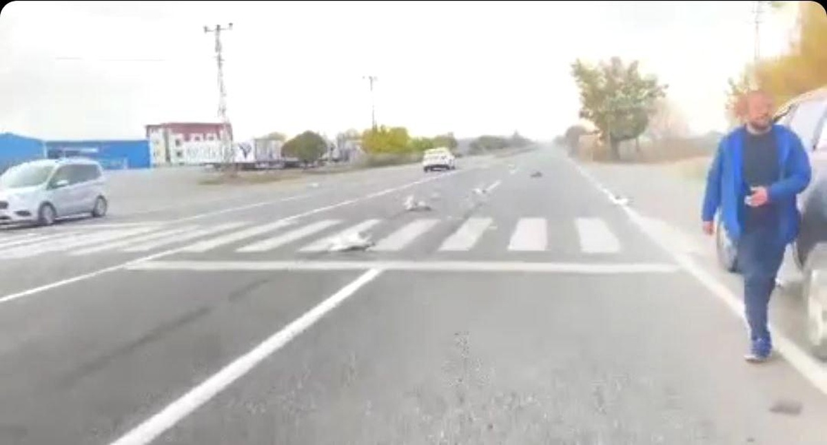 Iğdır\'da otomobilin çarptığı kazlar telef oldu