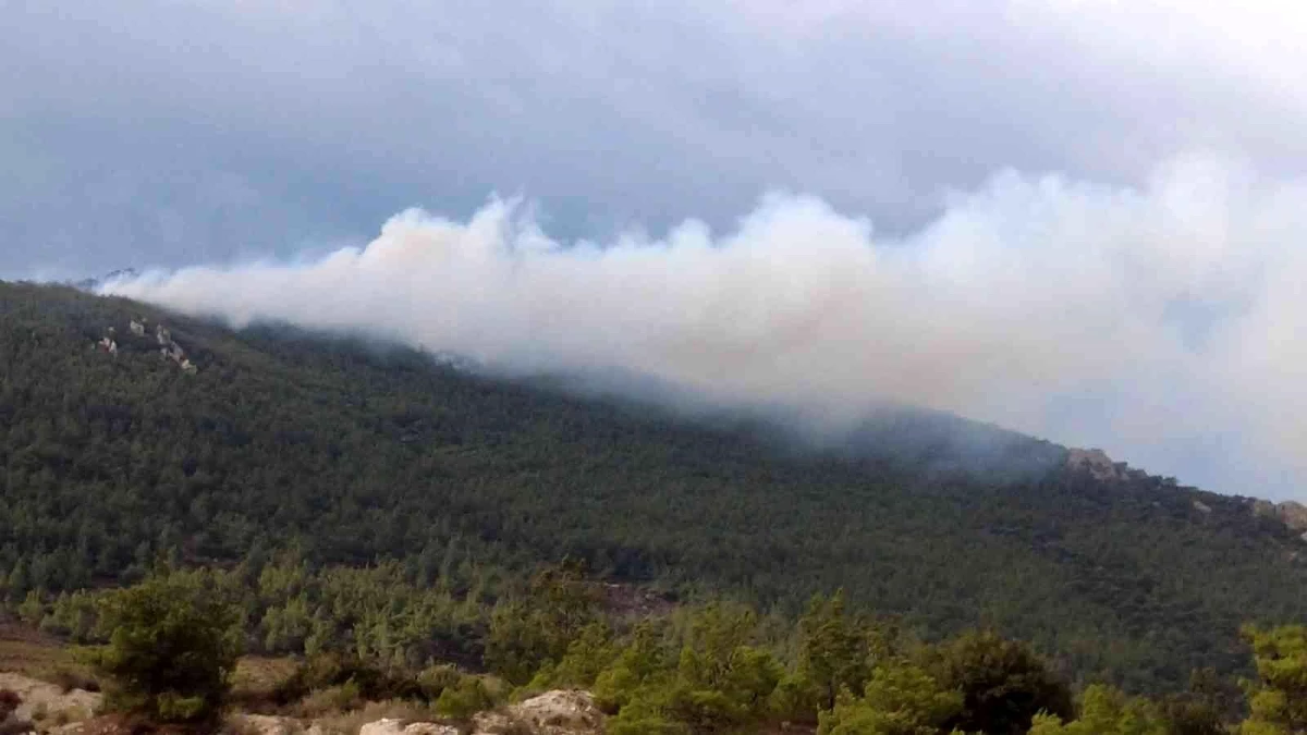 İzmir\'de iki ilçede orman yangını