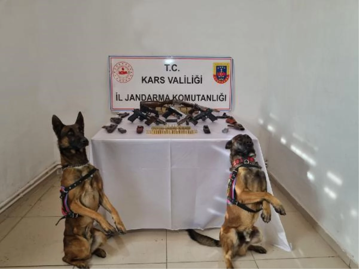 Operasyonda silahları eğitimli köpekler \'Çapkın\' ve \'Taş\' buldu