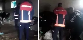 Sakarya'da ahırdaki yemliğe sıkışan inek, itfaiye ekiplerinin müdahalesiyle kurtarıldı