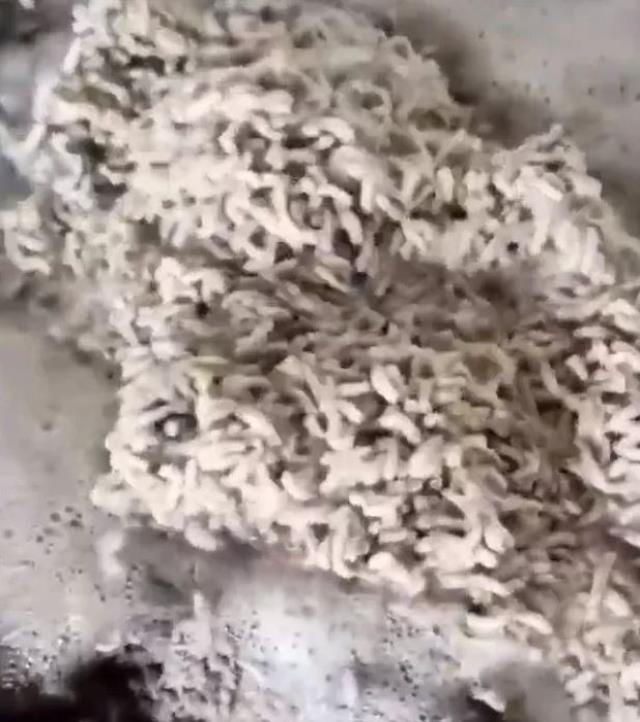 Bunları insanlara yedireceklermiş! Mide bulandıran işkembeciye ekiplerden baskın Bunları insanlara yedireceklermiş! Mide bulandıran işkembeciye ekiplerden baskın