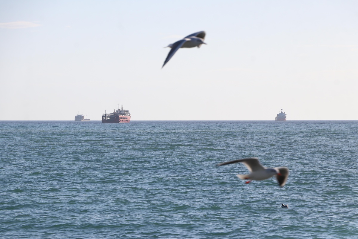 Marmara Denizi\'nde lodos etkisini sürdürüyor