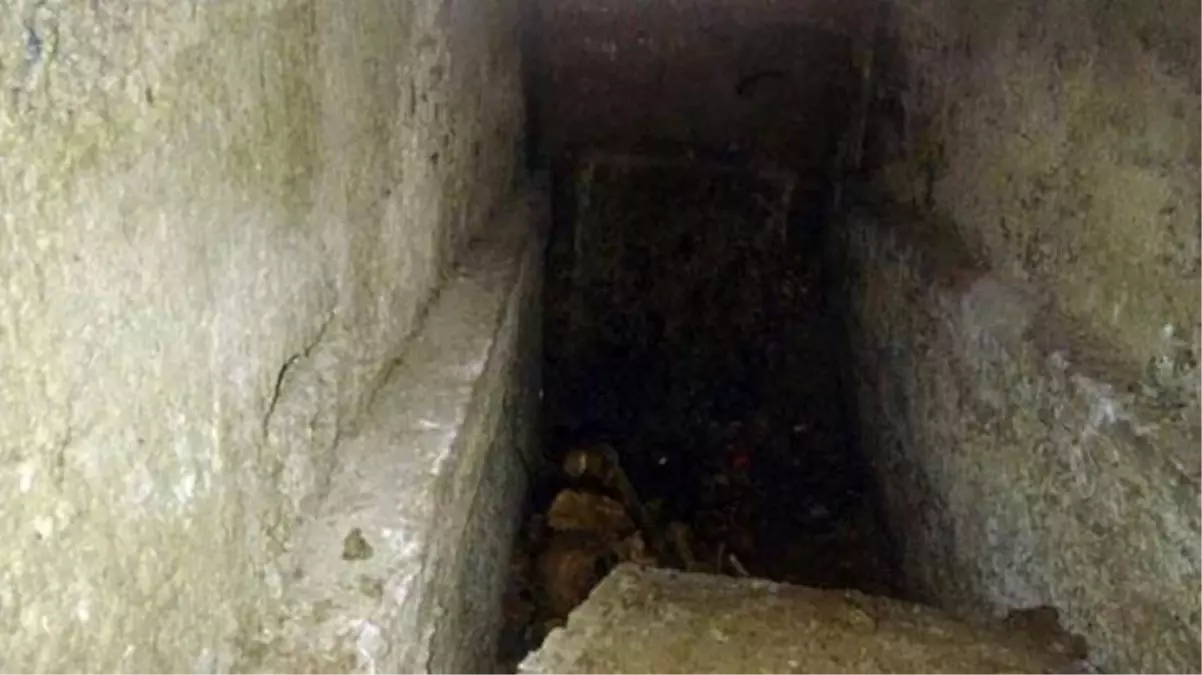 Ölülerin hepsi kıyamet günü bunu yapacak! Duyanların bile tüyleri ürperiyor