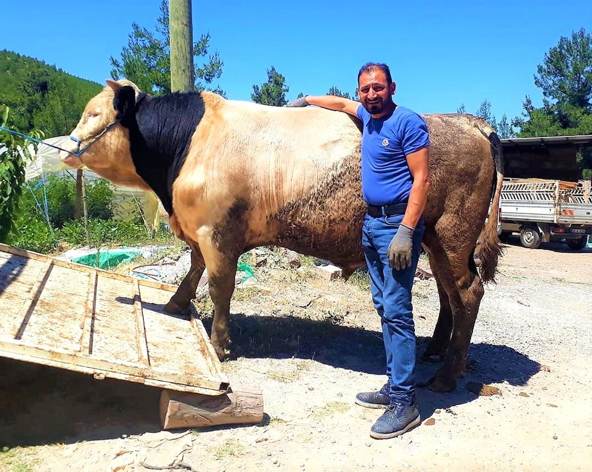 Orta refüje çıkan otomobil takla attı: 1 ölü, 1 yaralı