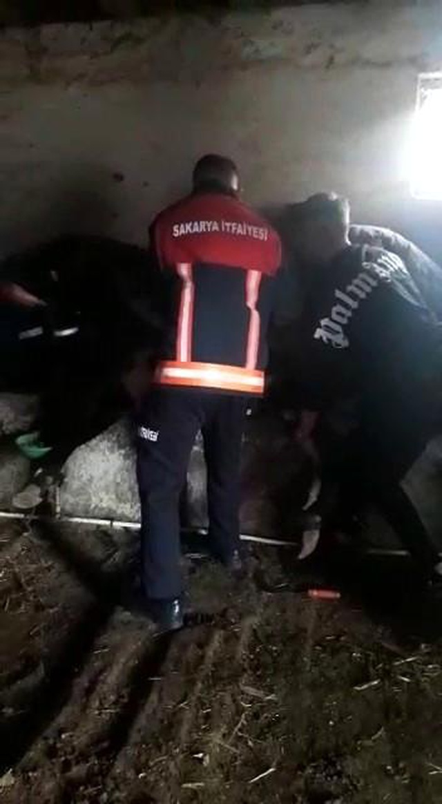 Ahırdan gelen acı seslere koşan çiftçi, gördüğü manzara sonrası hemen yetkilileri aradı Ahırdan gelen acı seslere koşan çiftçi, gördüğü manzara sonrası hemen yetkilileri aradı