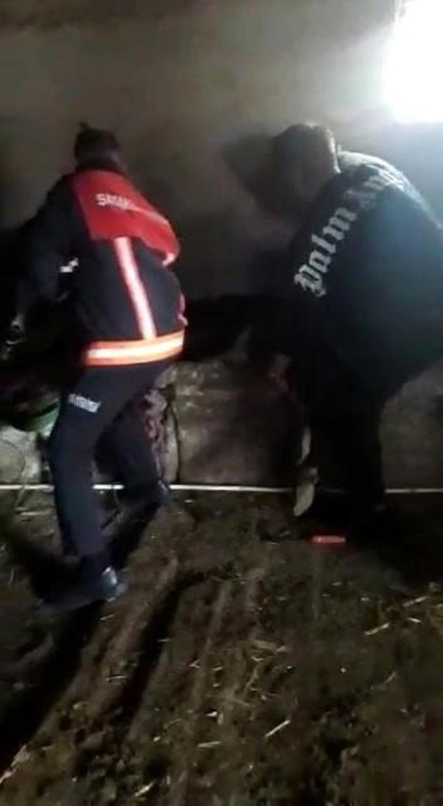 Ahırdan gelen acı seslere koşan çiftçi, gördüğü manzara sonrası hemen yetkilileri aradı Ahırdan gelen acı seslere koşan çiftçi, gördüğü manzara sonrası hemen yetkilileri aradı