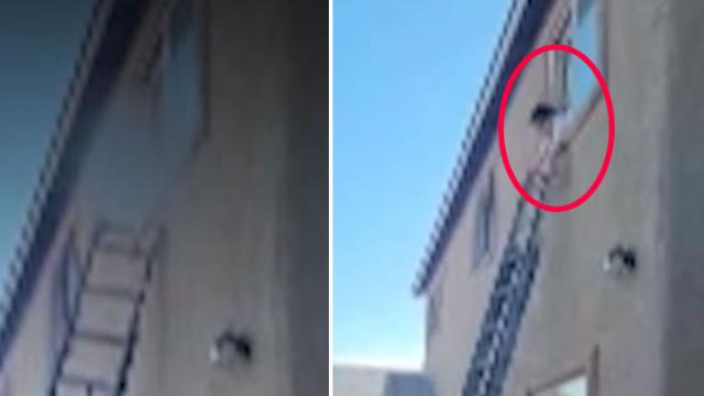 Bir apartmanın 4 numaralı dairesinde olanlar herkesi ürküttü! Polisin bile öğrenince ağzı açık kaldı Bir apartmanın 4 numaralı dairesinde olanlar herkesi ürküttü! Polisin bile öğrenince ağzı açık kaldı