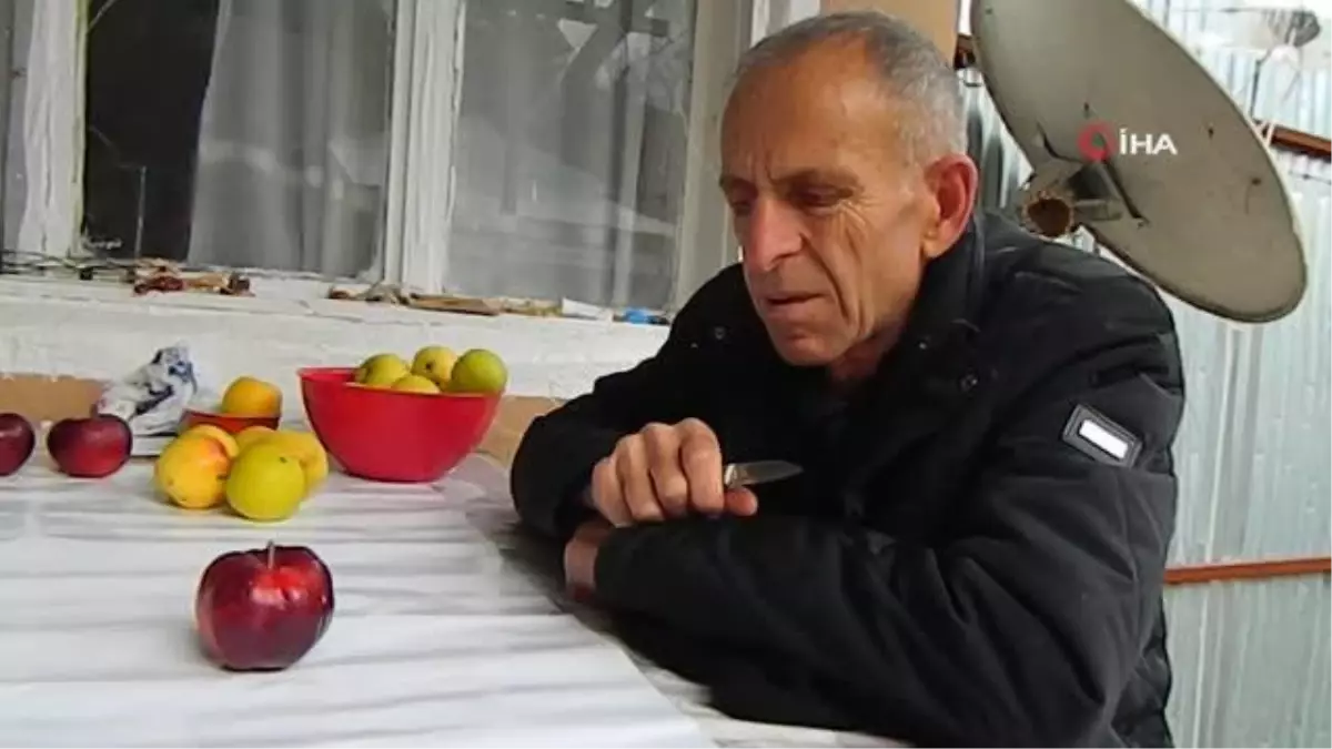 İçi dışı kırmızı bu elma sadece Posof'ta yetiştiriliyor