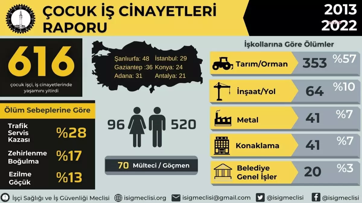 İsig Meclisi: Son 10 Yılda 616 Çocuk Çalışırken Hayatını Kaybetti