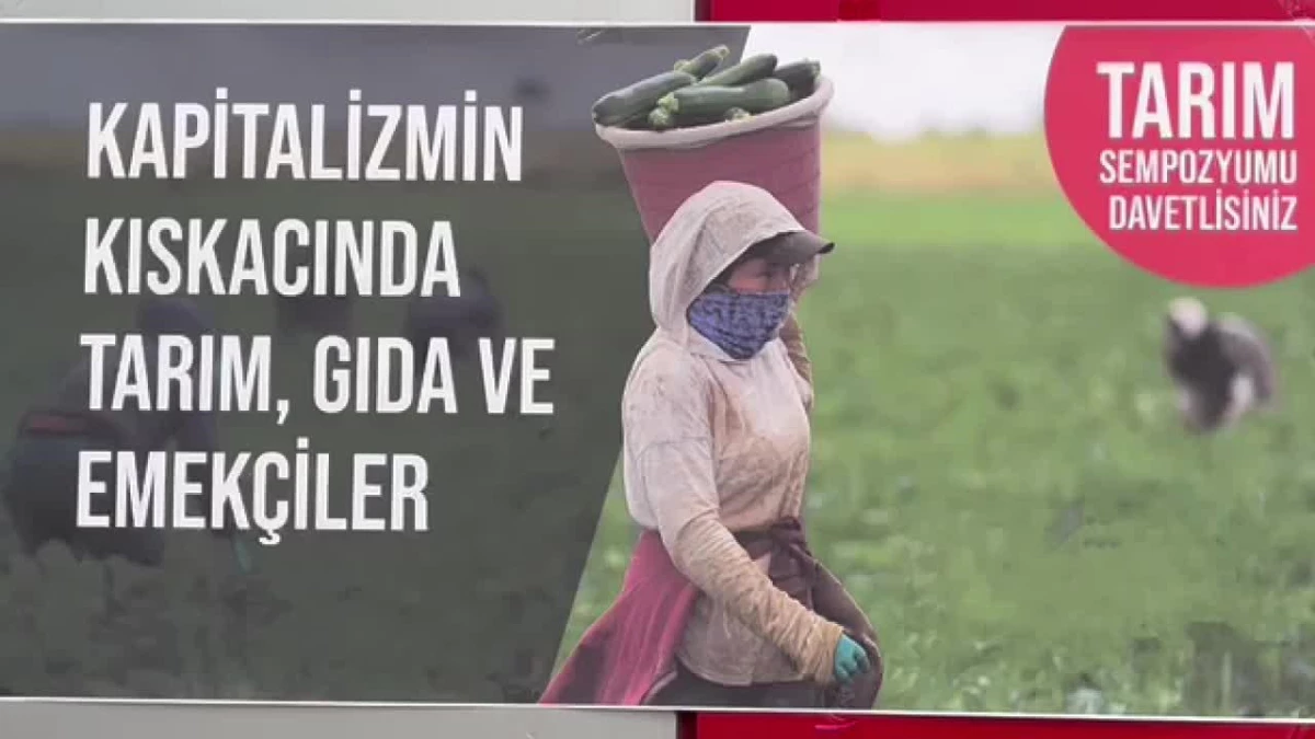 Polatlılı Çiftçi: Eve Bir Kilo Soğanı Artık Pazardan Götürüyoruz. Köylerimizde Genç Nüfus Kalmadı, Kimse Çiftçilik Yapmak İstemiyor