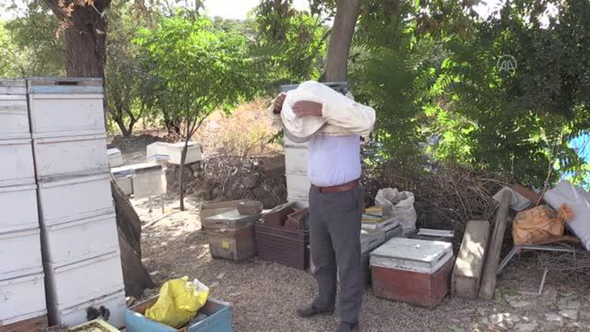 320 dönümde oluşturulan "bal ormanı", üreticilerin verimini katladı
