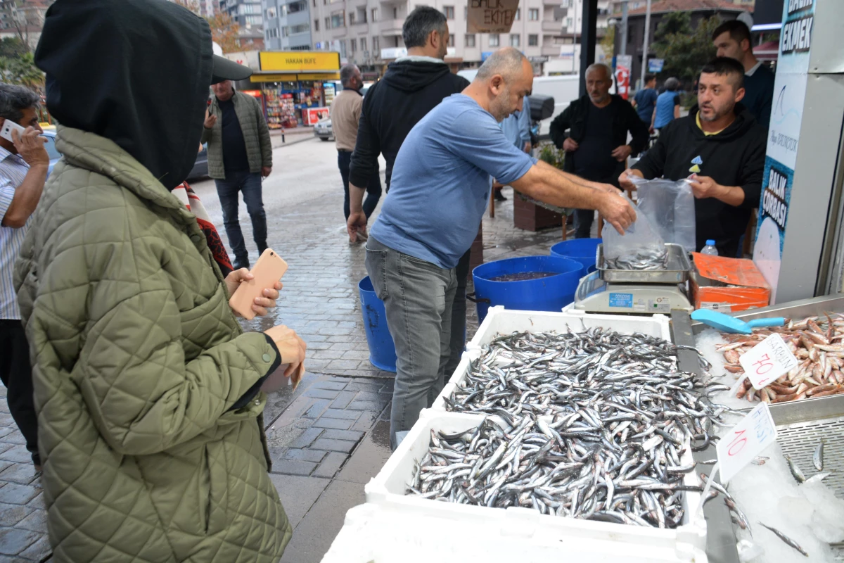 Düzce\'de vatandaşlar, 30 liradan 10 liraya düşen hamsiye akın etti