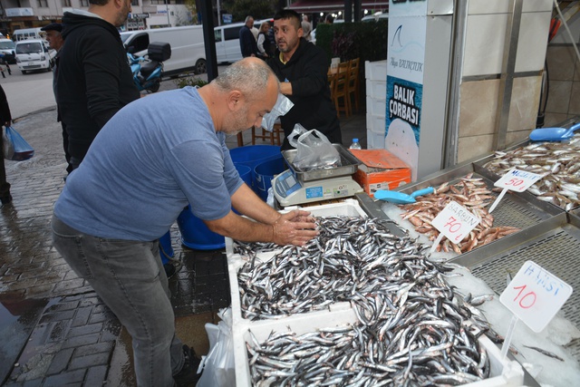 Hamsinin fiyatı 10 liraya düştü! Vatandaşlar tezgahlara akın etti