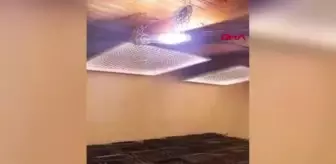 Ayvalık'ta Hint keneviri operasyonu; evi seraya çevirmişler