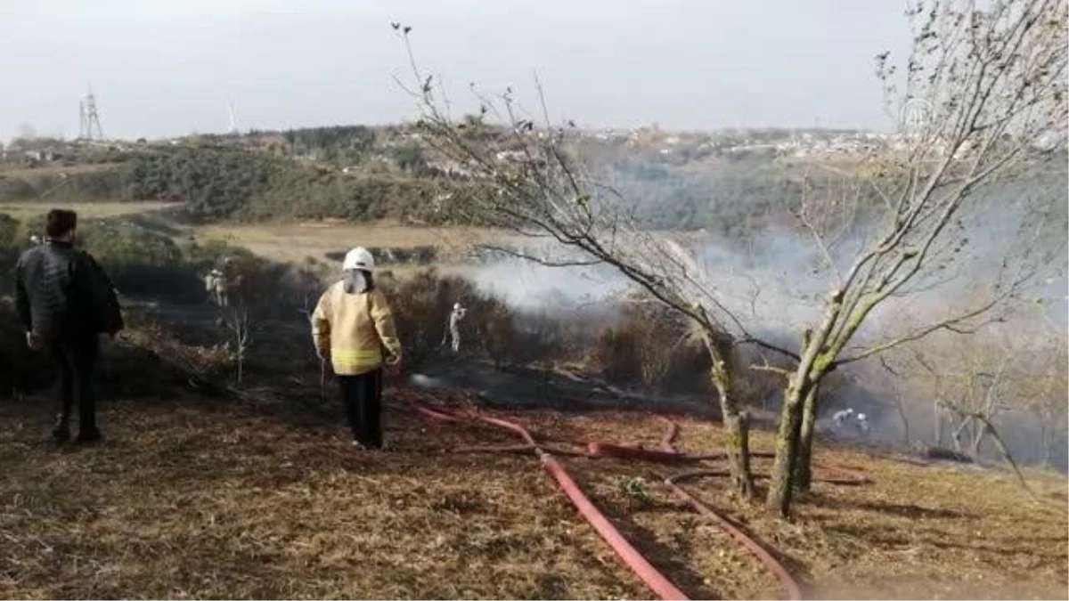 Habipler\'de ağaçlık alanda çıkan yangın söndürüldü