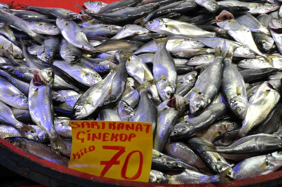 Mudurnu\'da pazar tezgahlarında balık bolluğu