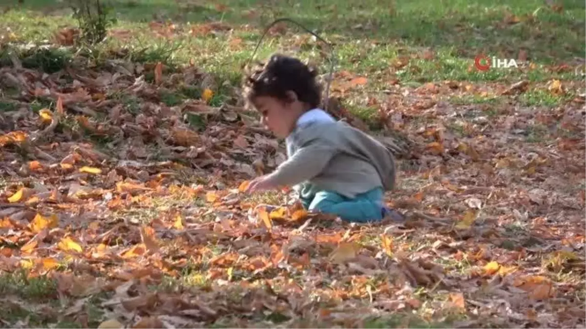 Tokat'ta sonbahar yapraklarının süpürülmesi yasaklandı