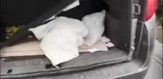 Araçlarının bagajındaki çuvalda kedi çıkan 2 kişiye 8 bin 92 lira ceza kesildi