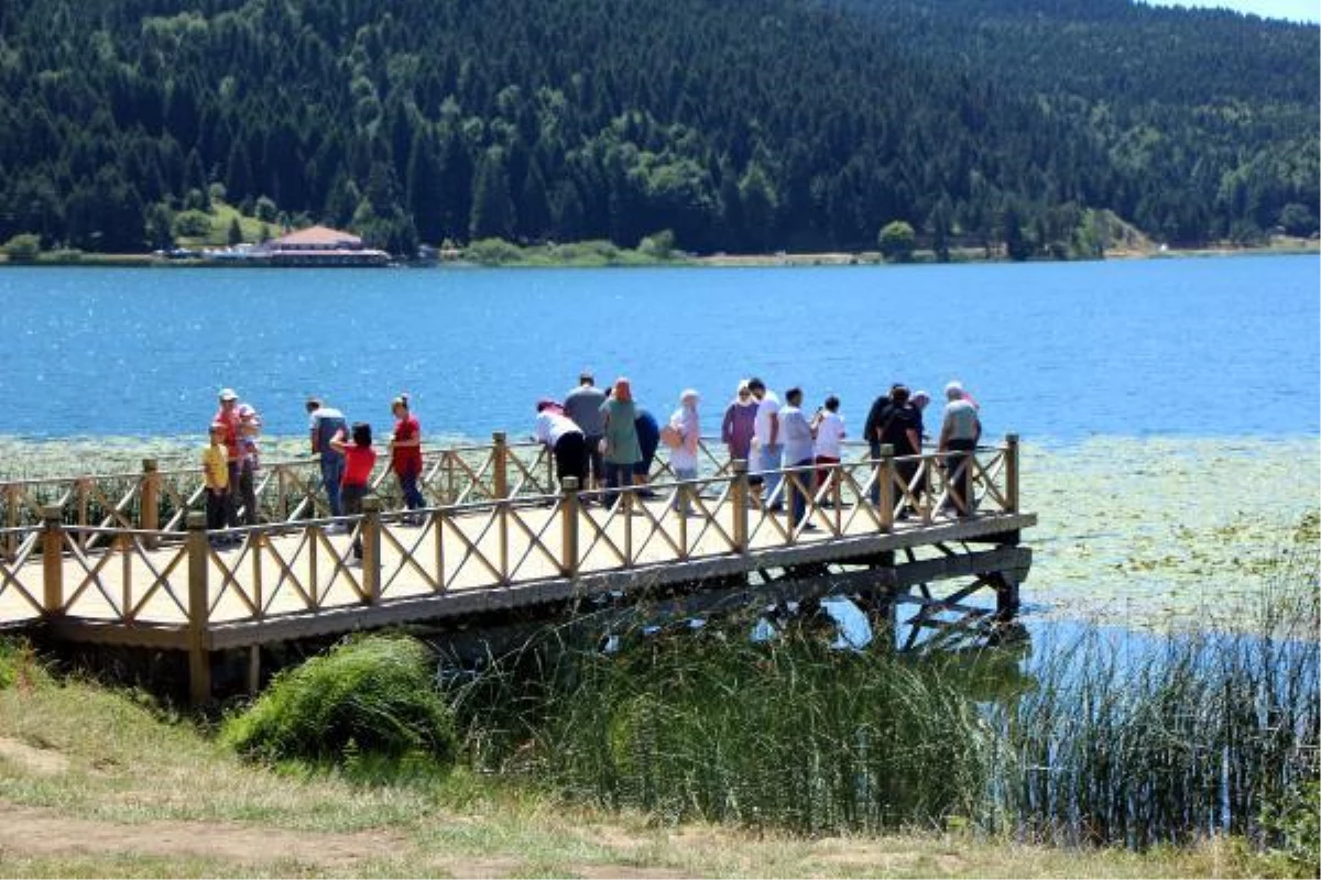 Bolu\'nun milli ve tabiat parkları ara tatilde ziyaretçilerin gözdesi oldu