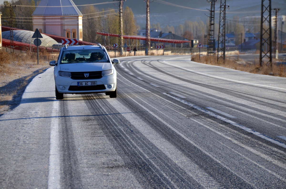 Erzurum ve Kars\'ta soğuk hava etkili oluyor