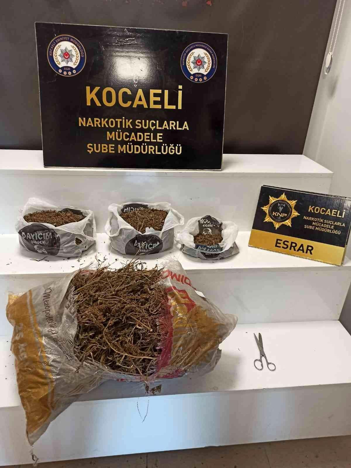 İzmit\'te narkotik operasyonunda 3 kilo 500 gram esrar ele geçirildi