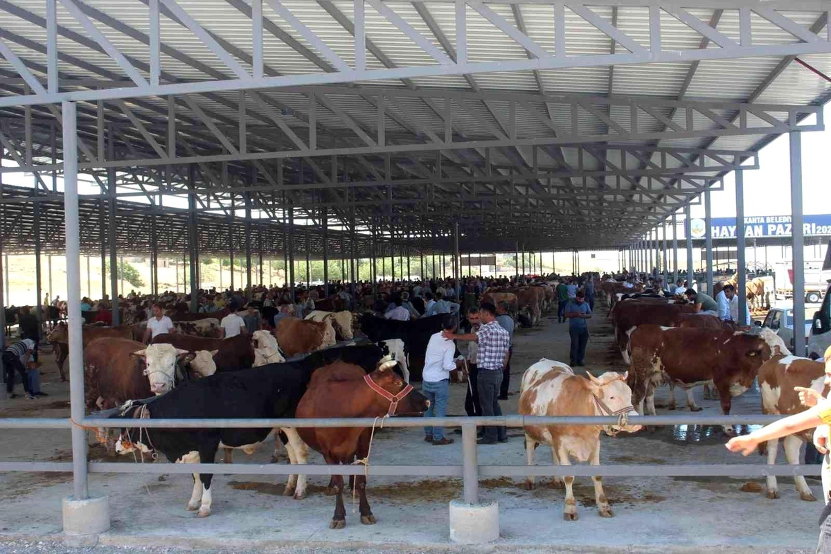 Adıyaman\'ın Kahta ilçesinde canlı hayvan pazarı geçici olarak kapatıldı