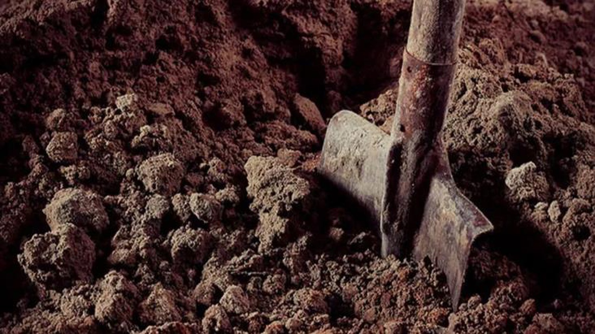 Mezarı kazıp 10 bin euro değerinde mücevher çaldılar! İhbar edene ödül verilecek