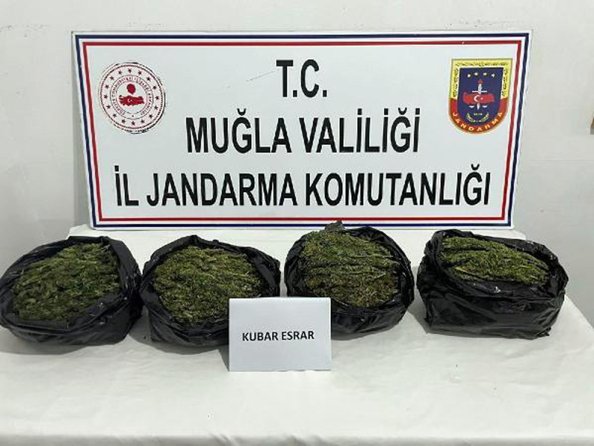 Muğla\'da uyuşturucu operasyonu: 2 gözaltı