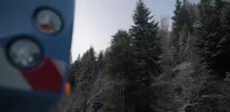 Noel hazırlıkları kapsamında kent meydanına dev çam ağacı getirildi