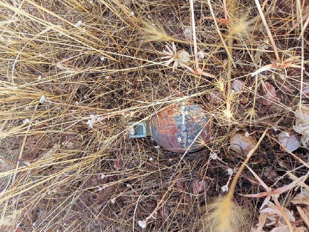 Operasyonda ele geçirilen el bombası ve mayın imha edildi