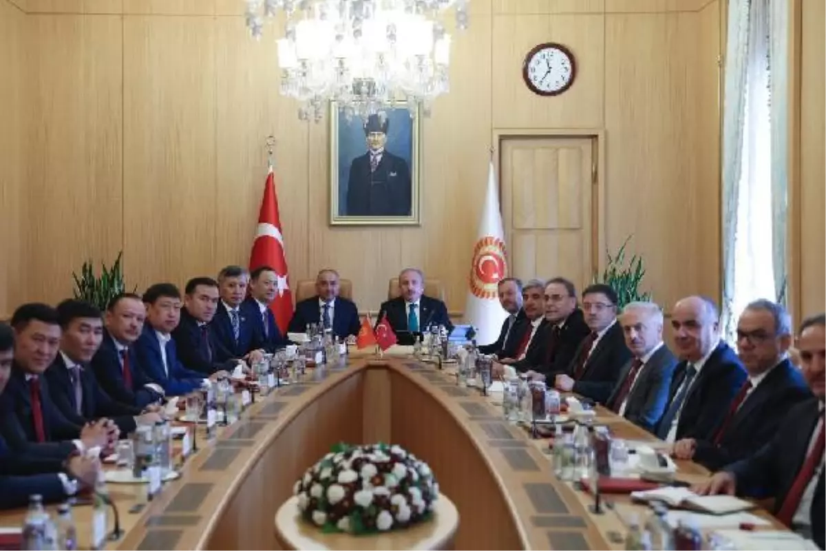 Şentop: Dost ve kardeş ülkeleri FETÖ\'ye karşı uyarmaya devam ediyoruz