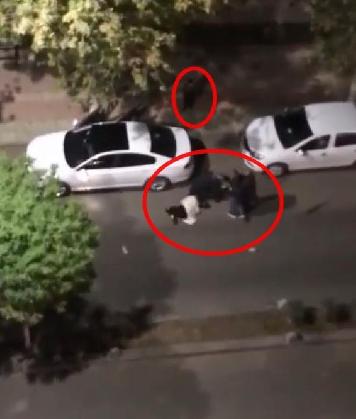 Siirt\'te yol ortasında kadına şiddet kamerada