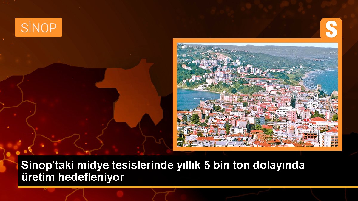 Sinop\'taki midye tesislerinde yıllık 5 bin ton dolayında üretim hedefleniyor