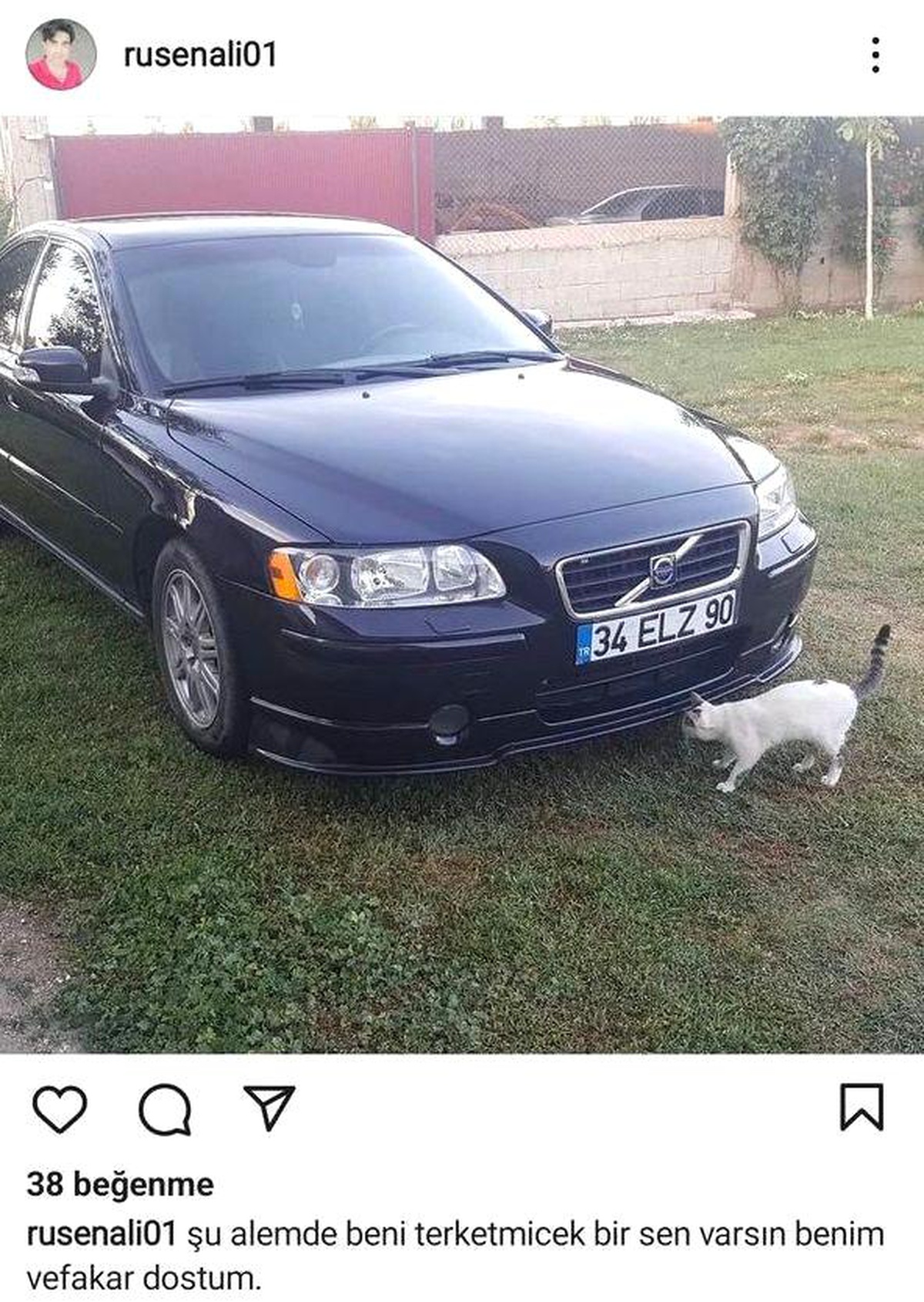 Tır ile çarpışan otomobilin sürücüsü hayatını kaybetti