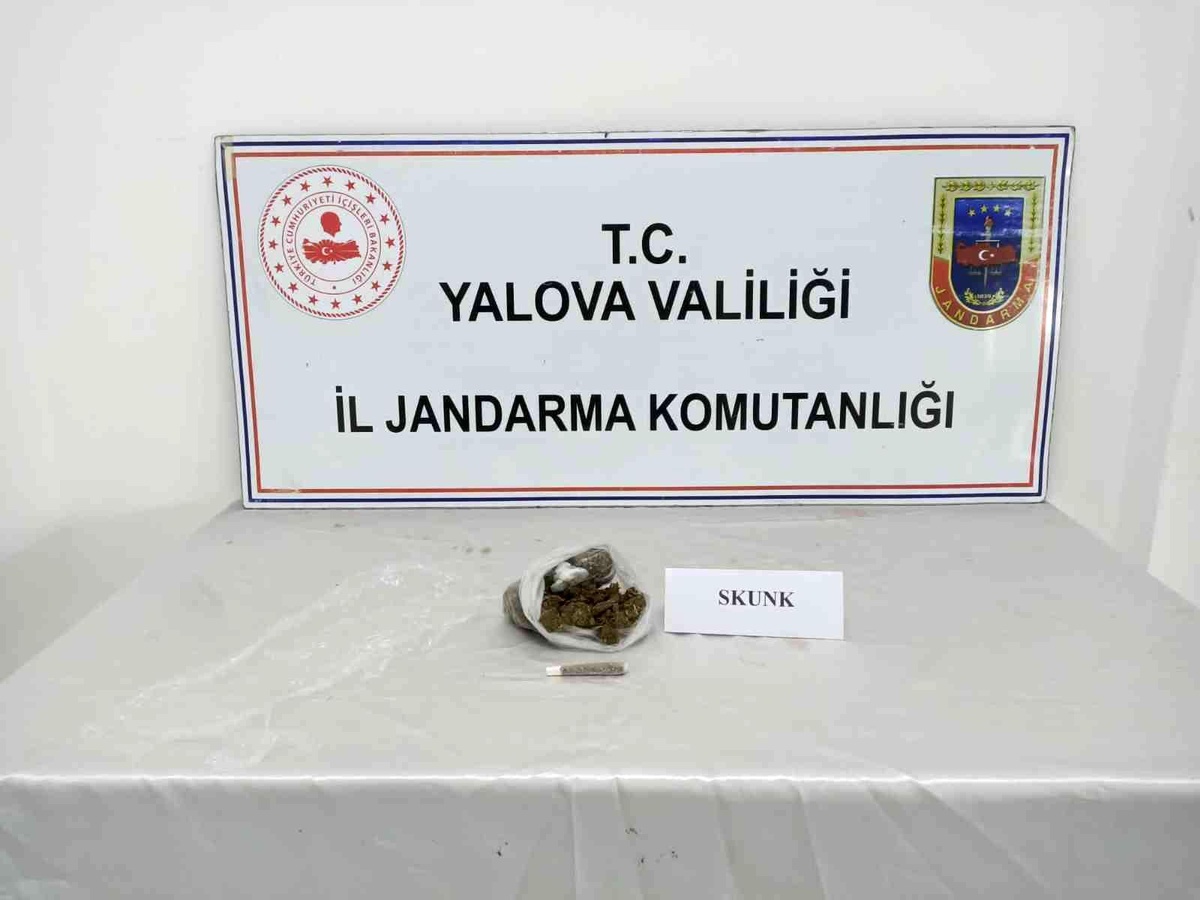 Yalova\'da jandarmadan uyuşturucu operasyonları: 6 gözaltı