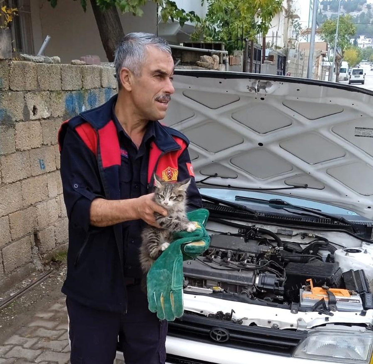 Aracın motor kısmına sıkışan kedi kurtarıldı